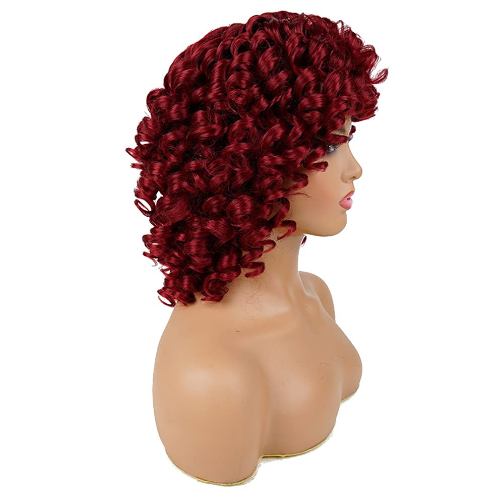 AIDUSA Short Loose Curly Wigs for Black Women Afro Wig for Black Women Curly Wig for Women Synthetic Wigs for Women Fluffy Natural Soft Hair (#1B Natural Black)