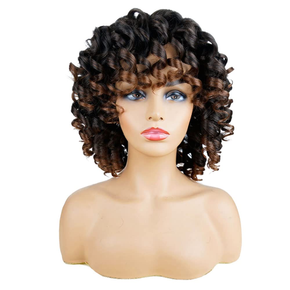 AIDUSA Short Loose Curly Wigs for Black Women Afro Wig for Black Women Curly Wig for Women Synthetic Wigs for Women Fluffy Natural Soft Hair (#1B Natural Black)