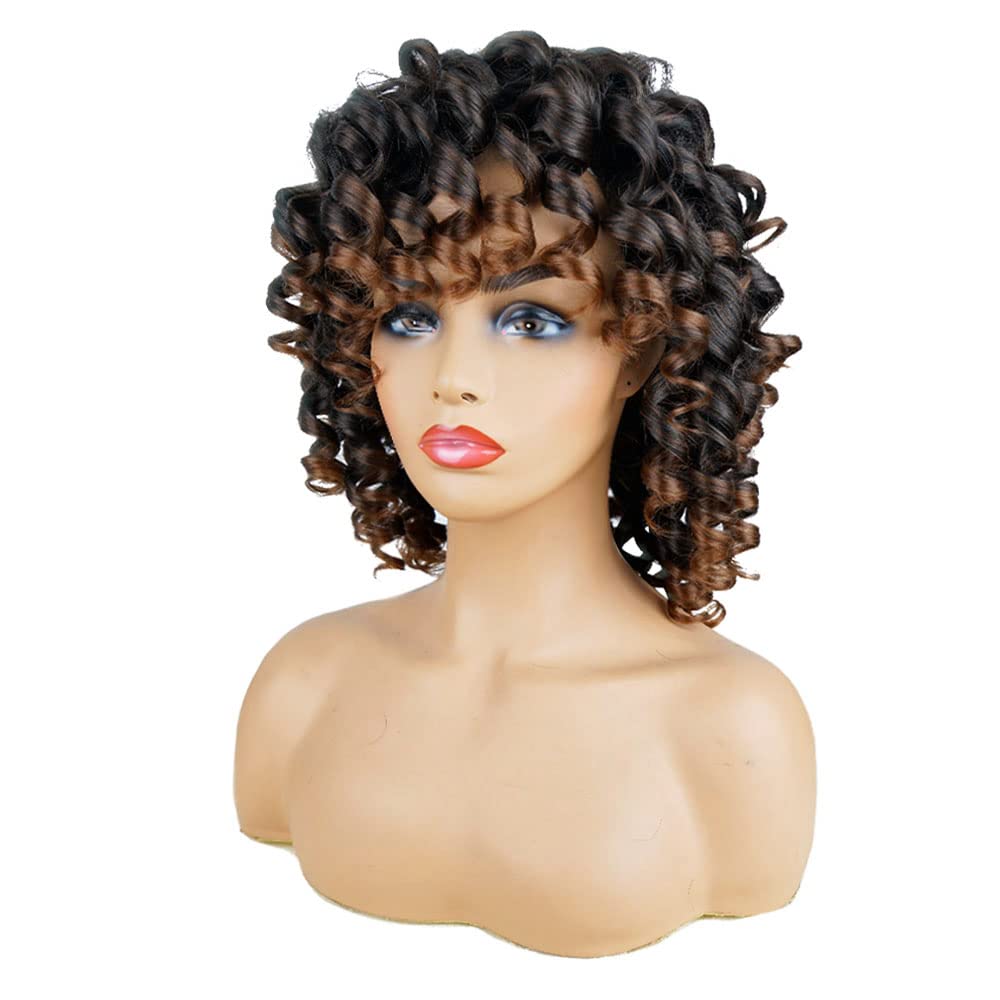 AIDUSA Short Loose Curly Wigs for Black Women Afro Wig for Black Women Curly Wig for Women Synthetic Wigs for Women Fluffy Natural Soft Hair (#1B Natural Black)