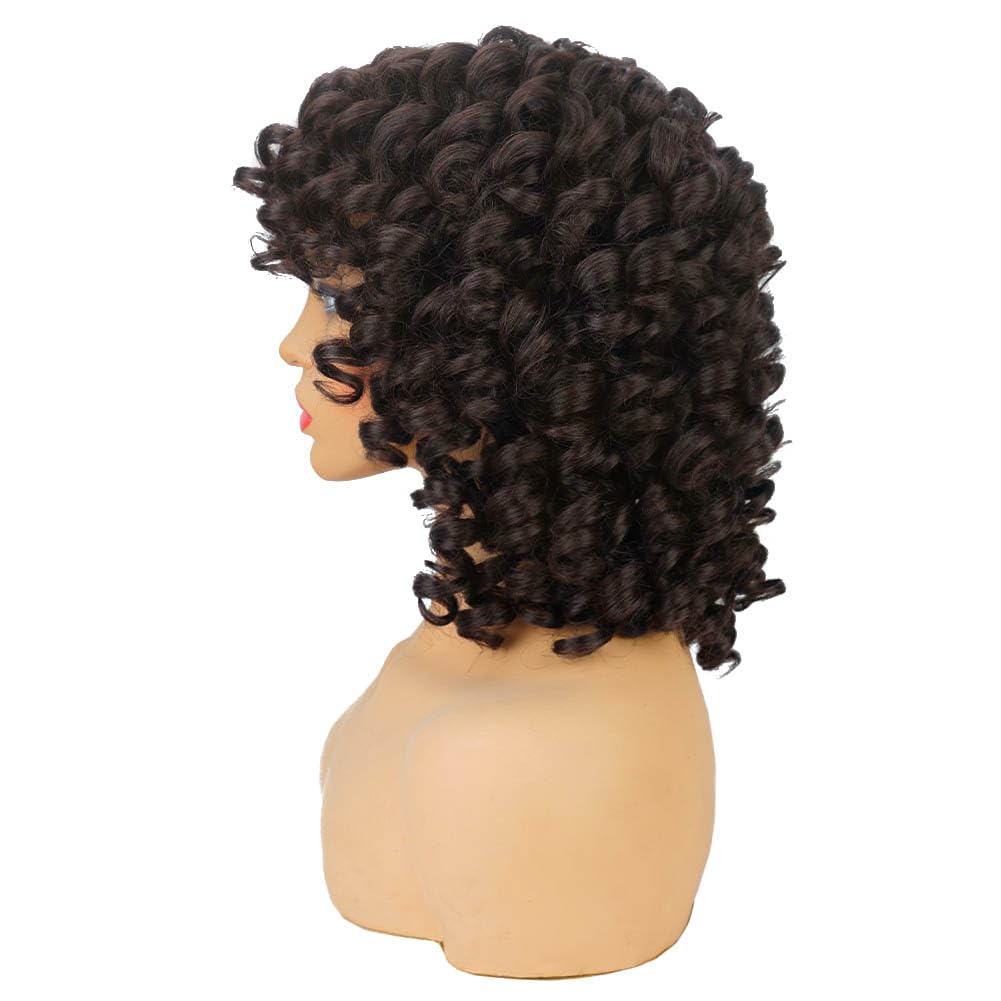 AIDUSA Short Loose Curly Wigs for Black Women Afro Wig for Black Women Curly Wig for Women Synthetic Wigs for Women Fluffy Natural Soft Hair (#1B Natural Black)