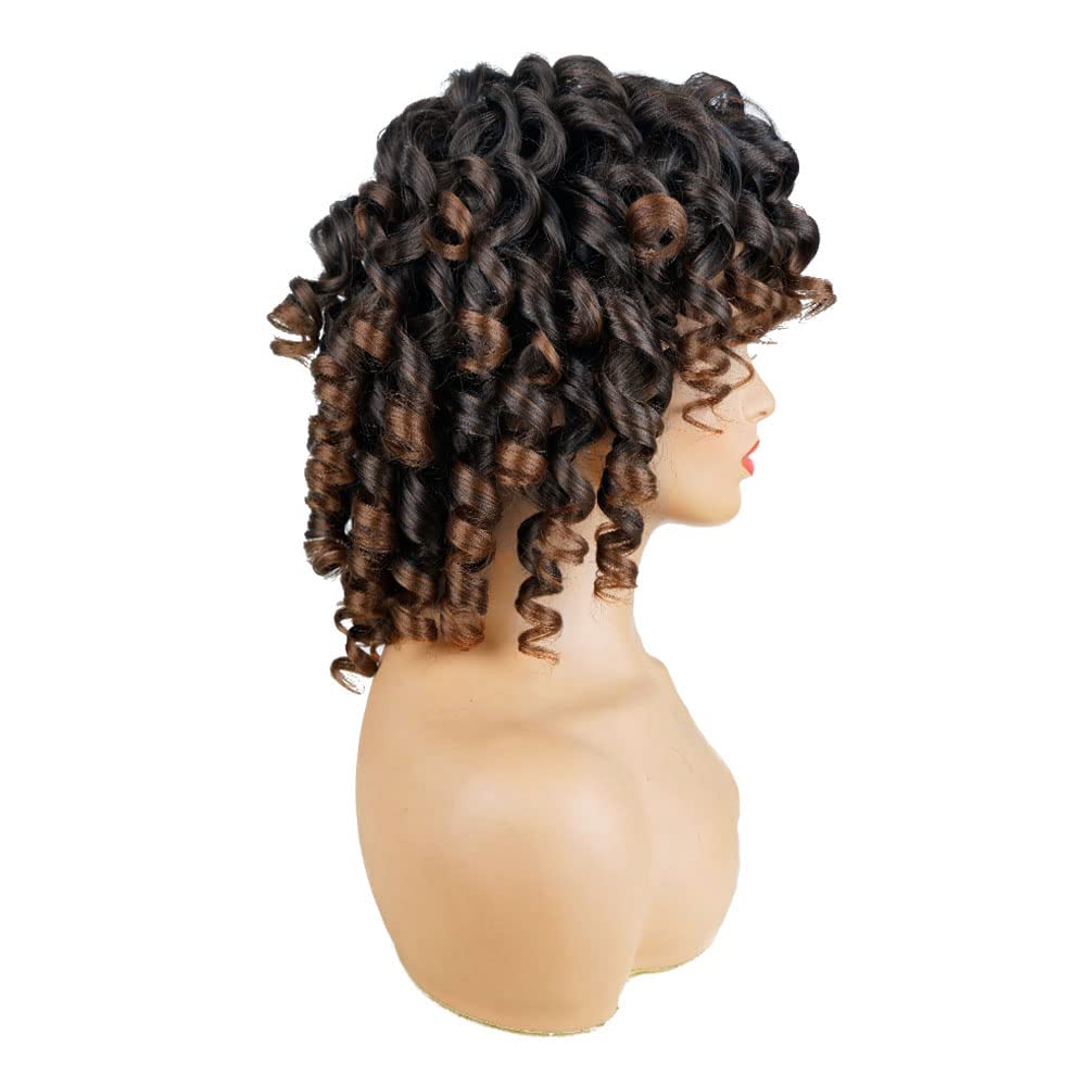 AIDUSA Short Loose Curly Wigs for Black Women Afro Wig for Black Women Curly Wig for Women Synthetic Wigs for Women Fluffy Natural Soft Hair (#1B Natural Black)