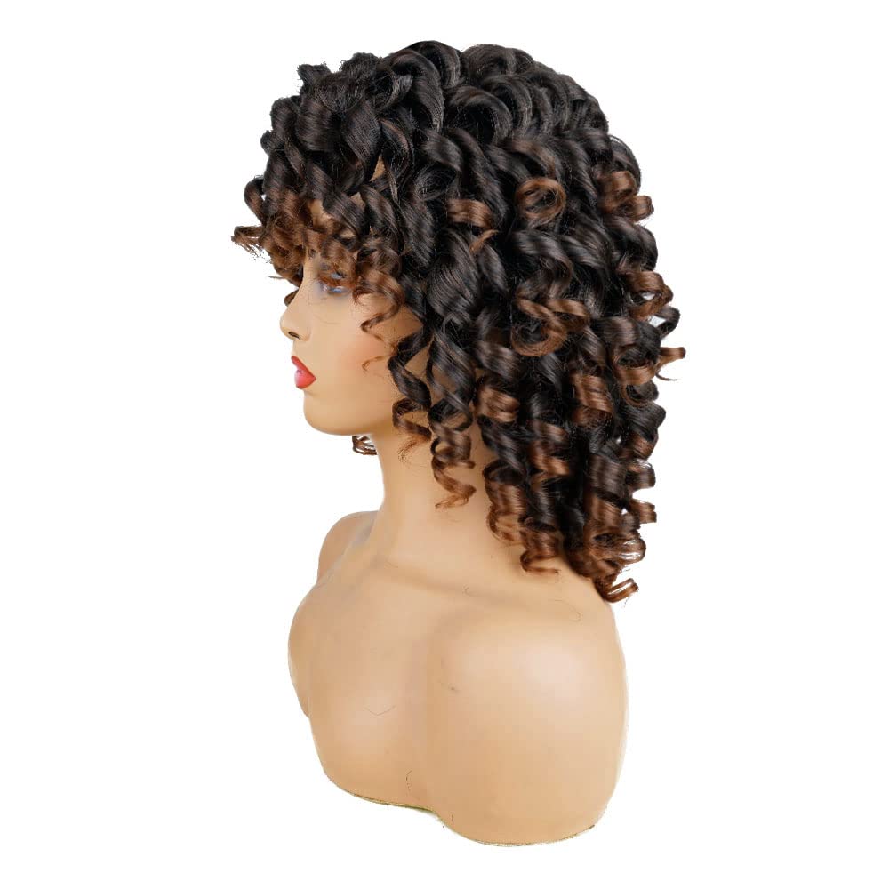 AIDUSA Short Loose Curly Wigs for Black Women Afro Wig for Black Women Curly Wig for Women Synthetic Wigs for Women Fluffy Natural Soft Hair (#1B Natural Black)