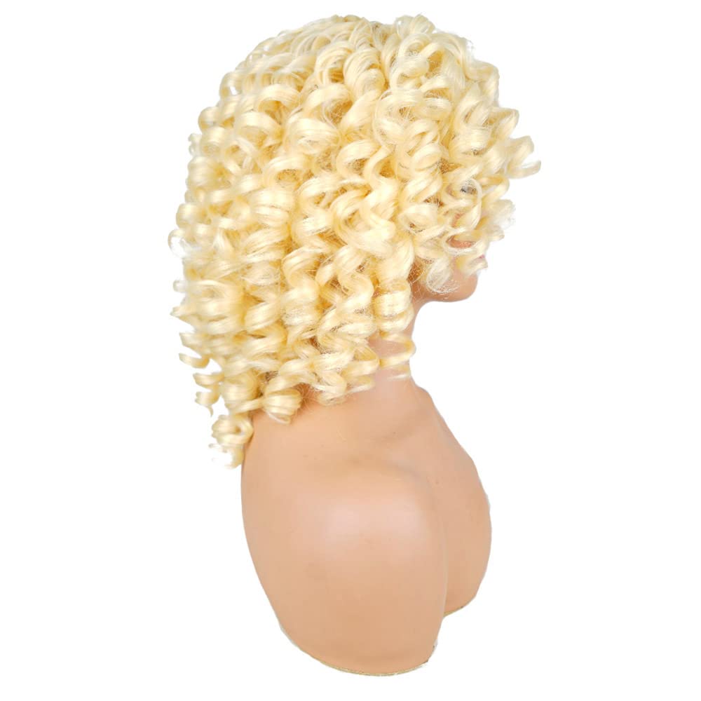 AIDUSA Short Loose Curly Wigs for Black Women Afro Wig for Black Women Curly Wig for Women Synthetic Wigs for Women Fluffy Natural Soft Hair (#1B Natural Black)