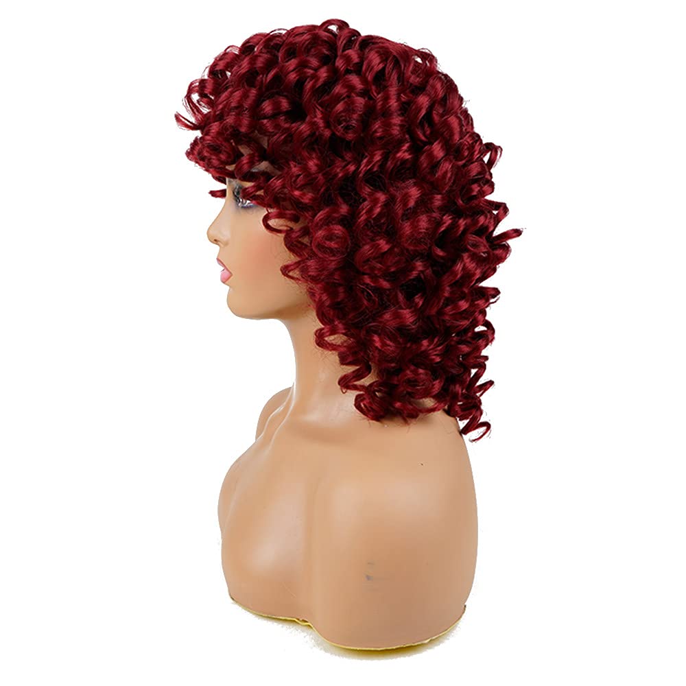 AIDUSA Short Loose Curly Wigs for Black Women Afro Wig for Black Women Curly Wig for Women Synthetic Wigs for Women Fluffy Natural Soft Hair (#1B Natural Black)