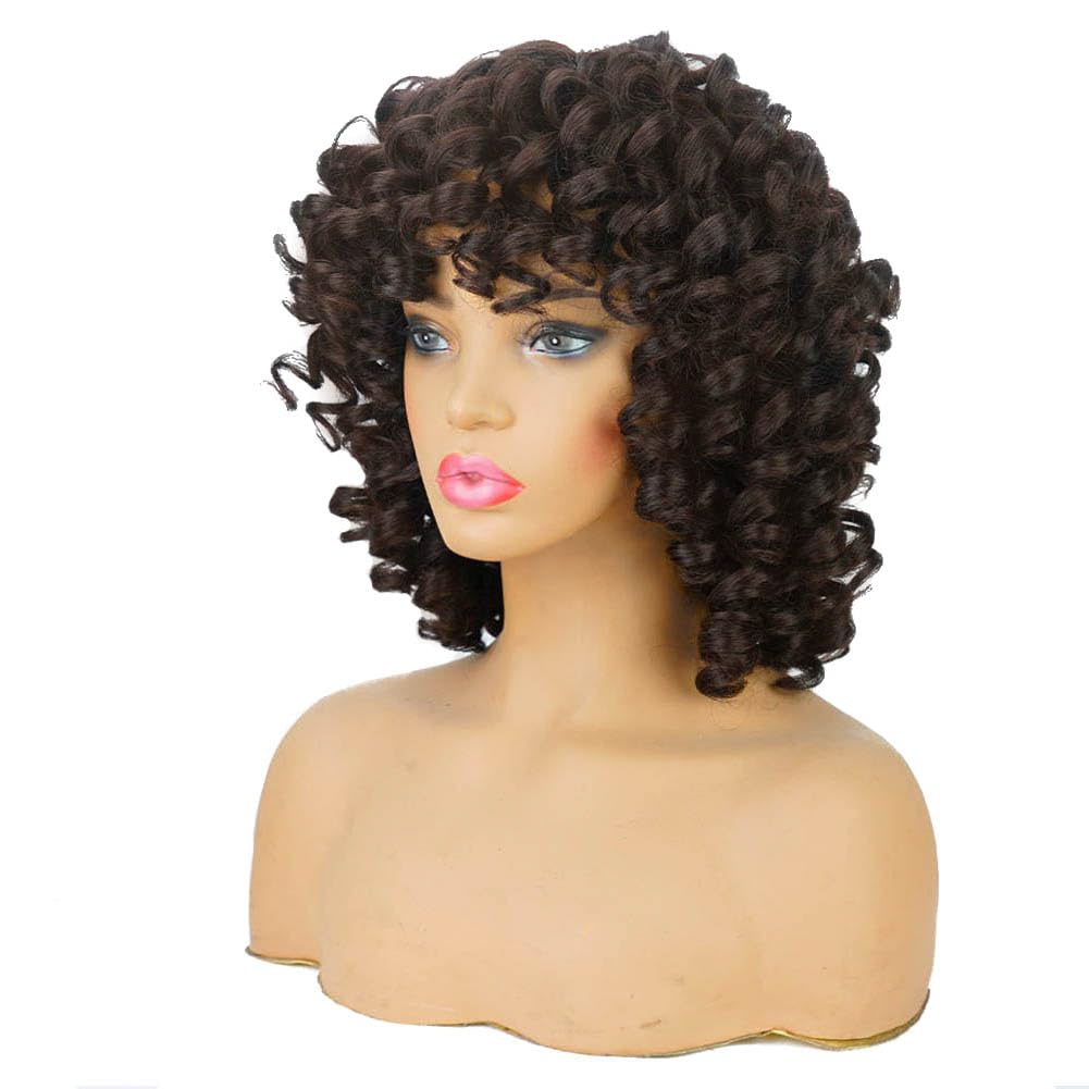 AIDUSA Short Loose Curly Wigs for Black Women Afro Wig for Black Women Curly Wig for Women Synthetic Wigs for Women Fluffy Natural Soft Hair (#1B Natural Black)