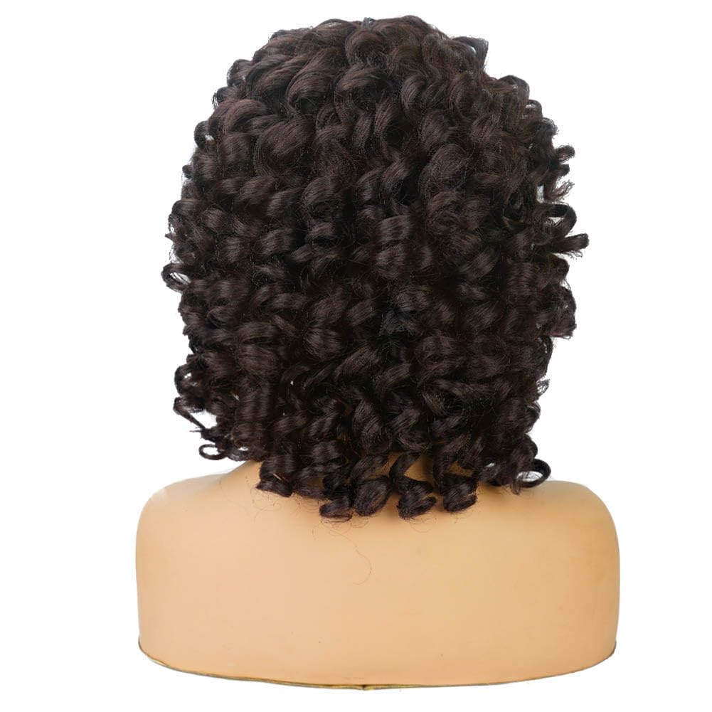 AIDUSA Short Loose Curly Wigs for Black Women Afro Wig for Black Women Curly Wig for Women Synthetic Wigs for Women Fluffy Natural Soft Hair (#1B Natural Black)