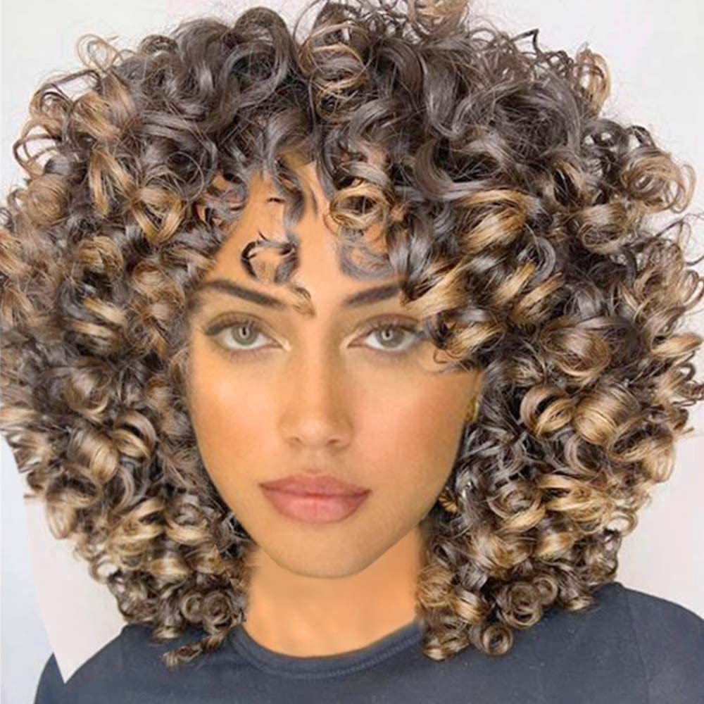 AIDUSA Short Loose Curly Wigs for Black Women Afro Wig for Black Women Curly Wig for Women Synthetic Wigs for Women Fluffy Natural Soft Hair (#1B Natural Black)