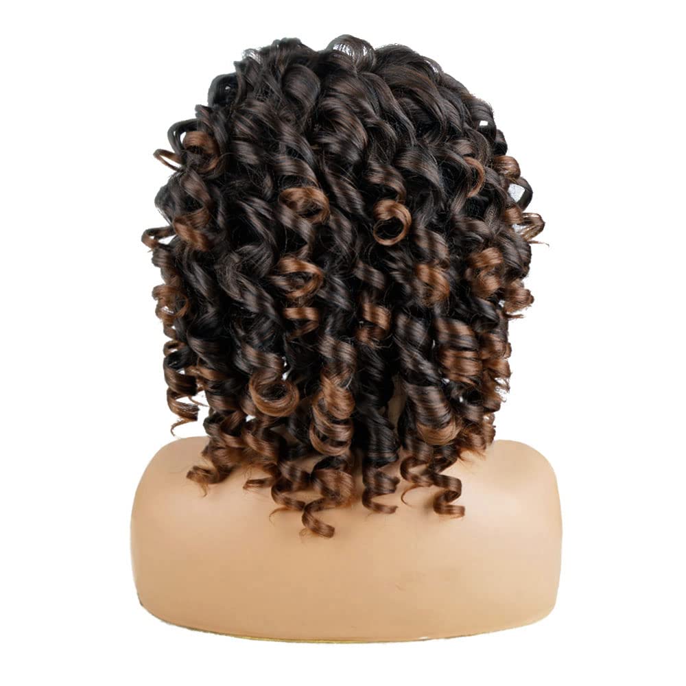 AIDUSA Short Loose Curly Wigs for Black Women Afro Wig for Black Women Curly Wig for Women Synthetic Wigs for Women Fluffy Natural Soft Hair (#1B Natural Black)