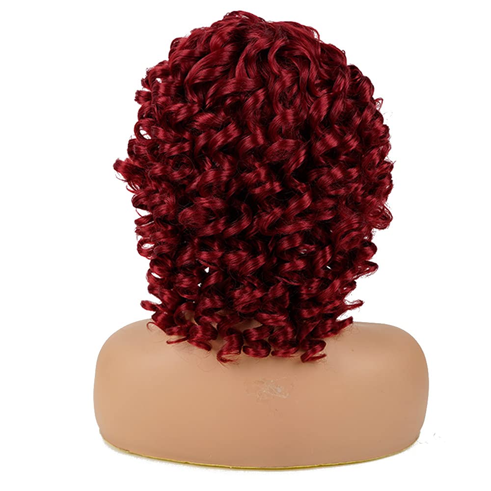 AIDUSA Short Loose Curly Wigs for Black Women Afro Wig for Black Women Curly Wig for Women Synthetic Wigs for Women Fluffy Natural Soft Hair (#1B Natural Black)