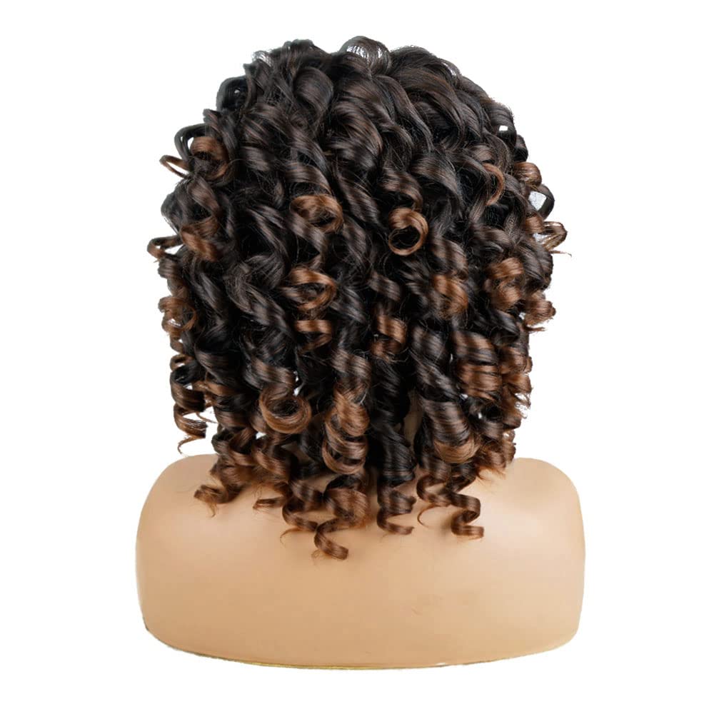 Short Curly Loose Synthetic Wigs for Women Fluffy Natural Wigs Half Wigs Soft Hair Black Wigs (#1B Natural Black)